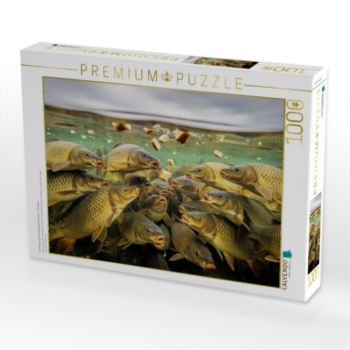 Ein Motiv aus dem Kalender Karpfen - Paradies - CALVENDO Foto-Puzzle'