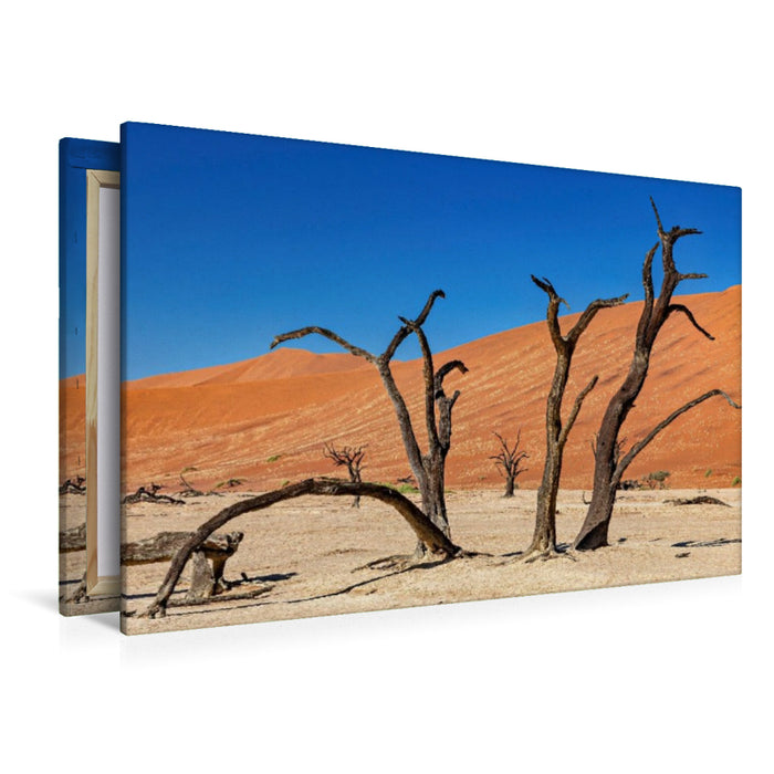 Premium Textil-Leinwand Tote Bäume im Deadvlei