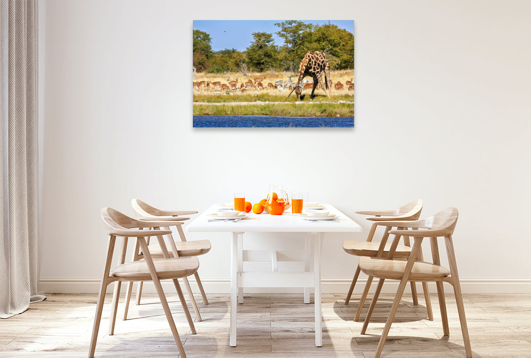 Premium Textil-Leinwand Giraffe am Wasserloch