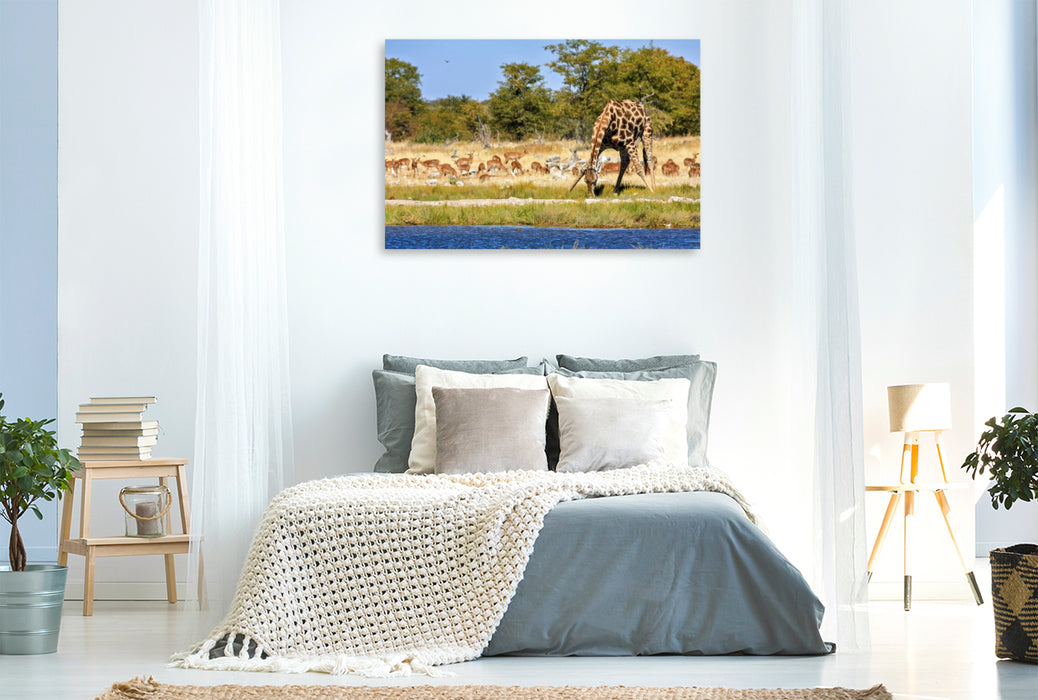 Premium Textil-Leinwand Giraffe am Wasserloch