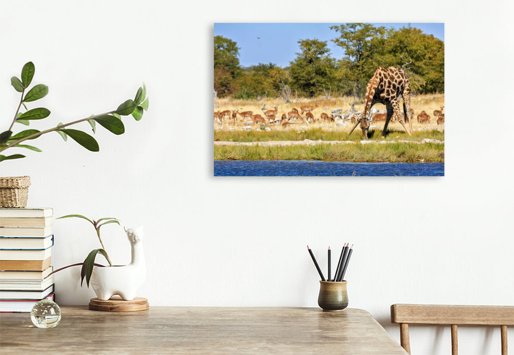 Premium Textil-Leinwand Giraffe am Wasserloch