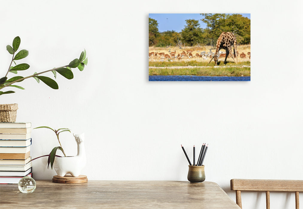 Premium Textil-Leinwand Giraffe am Wasserloch