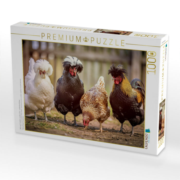 Naturnah, friedlich, wunderschön – polnische Hühner. - CALVENDO Foto-Puzzle'