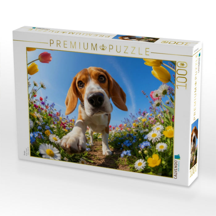 Beagle - CALVENDO Foto-Puzzle'
