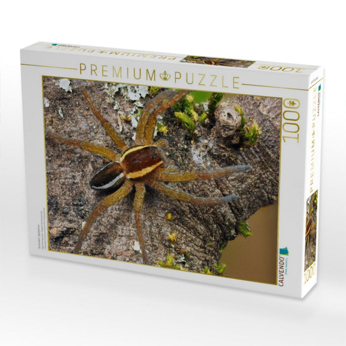 Gerandete Jagdspinne - CALVENDO Foto-Puzzle'