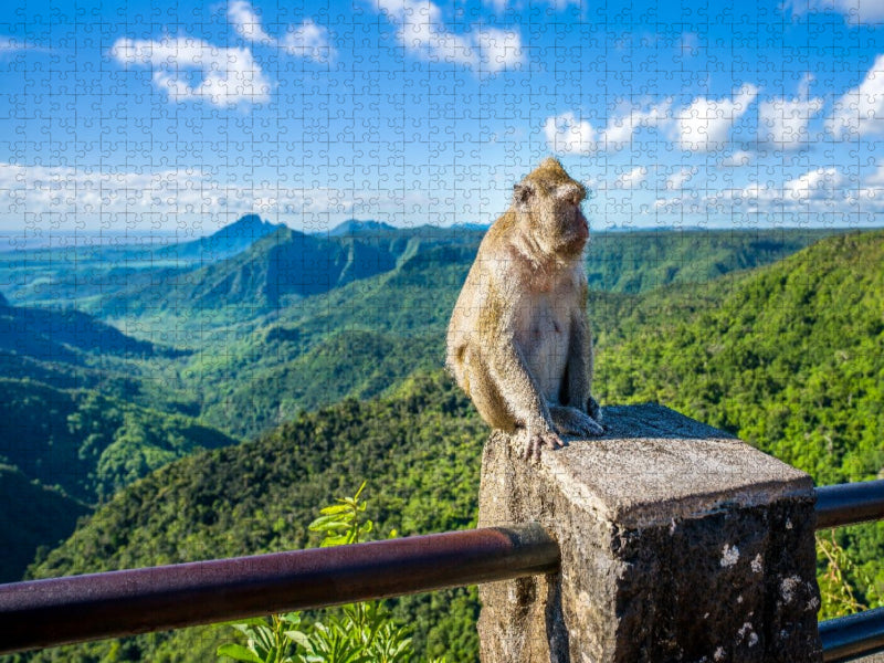 Mauritius - Javaner-Affe am Gorges Viewpoint - CALVENDO Foto-Puzzle'