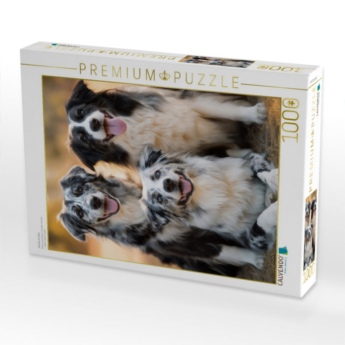 Familie ist alles - CALVENDO Foto-Puzzle'