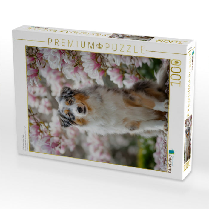 Ein Moment voller Magie - CALVENDO Foto-Puzzle'