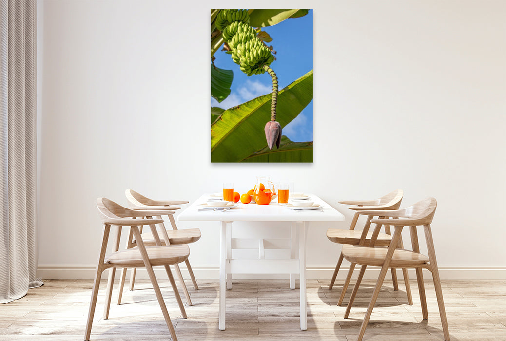 Premium Textil-Leinwand Bananenbaum auf den Seychellen