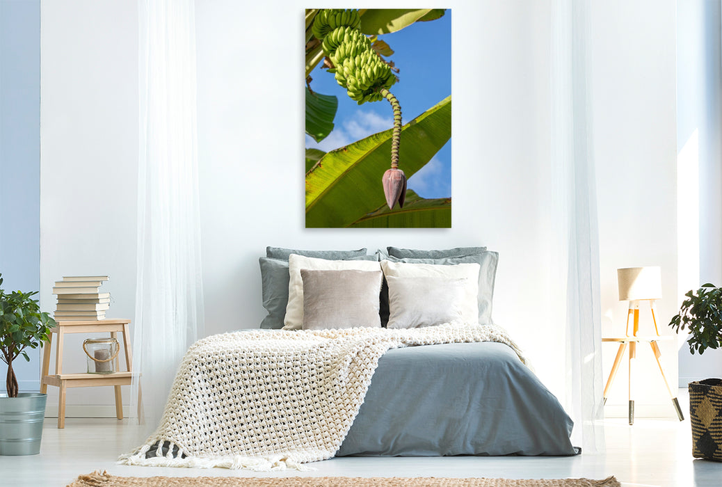 Premium Textil-Leinwand Bananenbaum auf den Seychellen