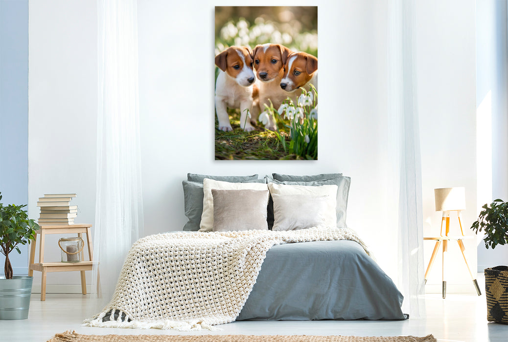 Premium Textil-Leinwand Ich riech Blumen? Ich pflück sie… mit den Pfoten!