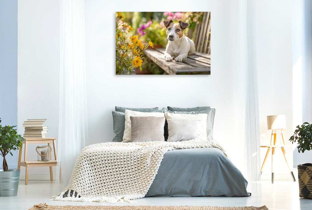 Premium Textil-Leinwand Ein Platz an der Sonne