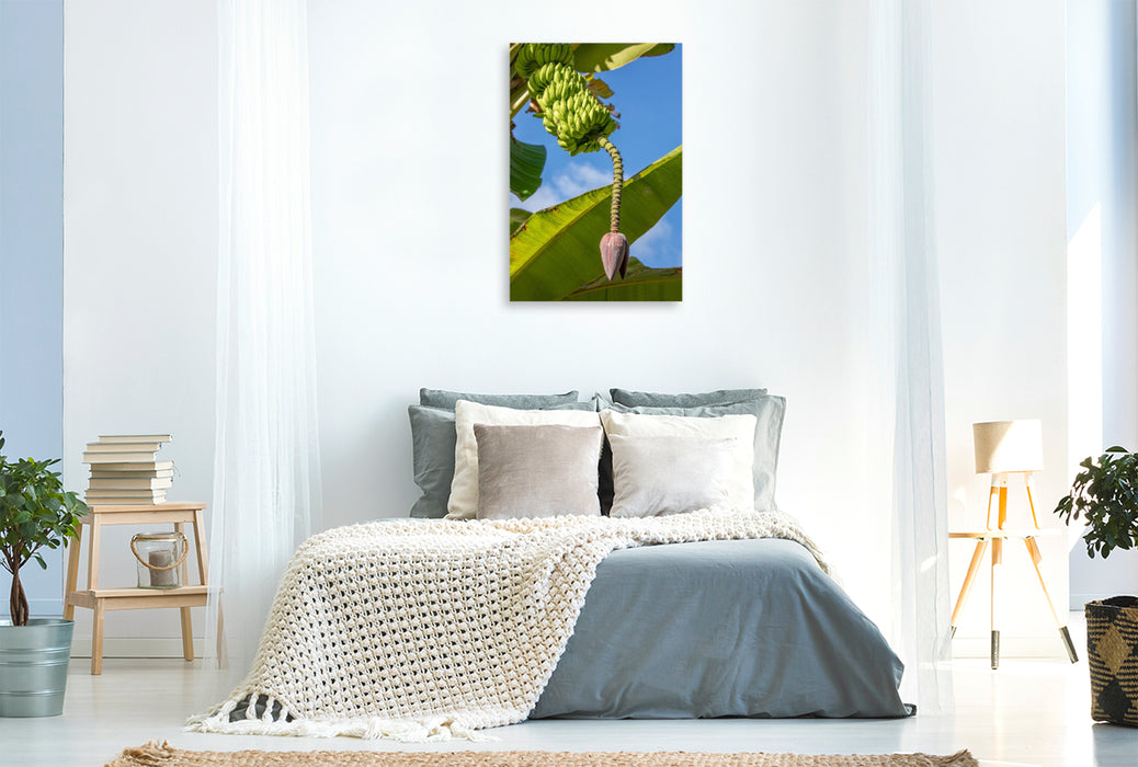 Premium Textil-Leinwand Bananenbaum auf den Seychellen