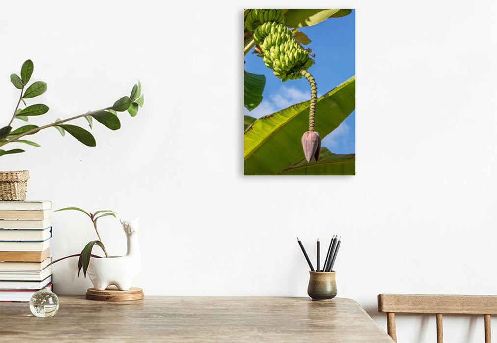 Premium Textil-Leinwand Bananenbaum auf den Seychellen