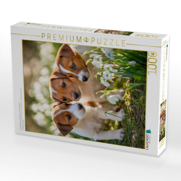 Ich riech Blumen? Ich pflück sie… mit den Pfoten! - CALVENDO Foto-Puzzle'