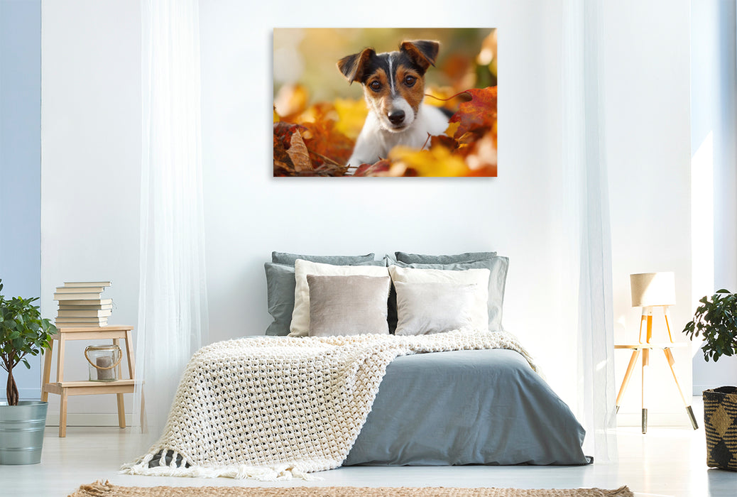 Premium Textil-Leinwand Laubspaß für kleine Entdecker