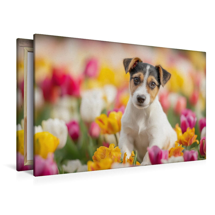Premium Textil-Leinwand Ein Motiv aus dem Kalender Jack Russell Terrier