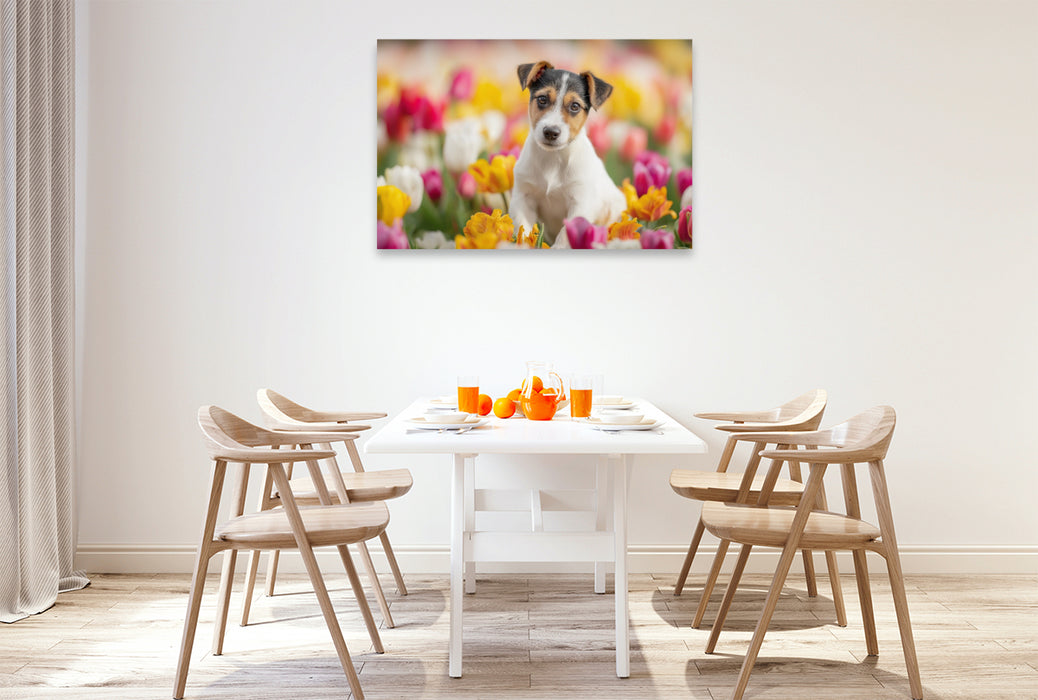 Premium Textil-Leinwand Ein Motiv aus dem Kalender Jack Russell Terrier