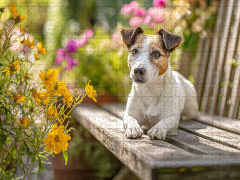 Ein Platz an der Sonne - CALVENDO Foto-Puzzle'