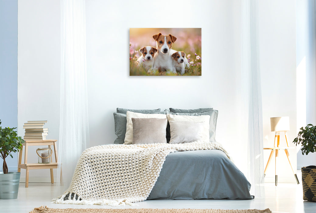 Premium Textil-Leinwand Kuschelalarm garantiert