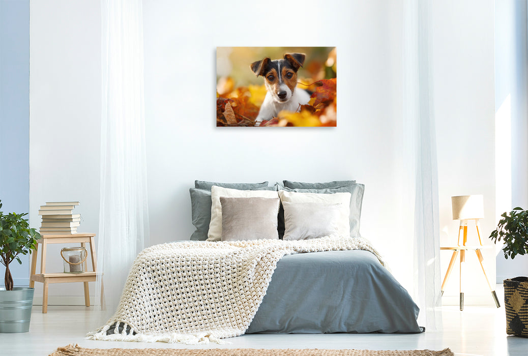 Premium Textil-Leinwand Laubspaß für kleine Entdecker