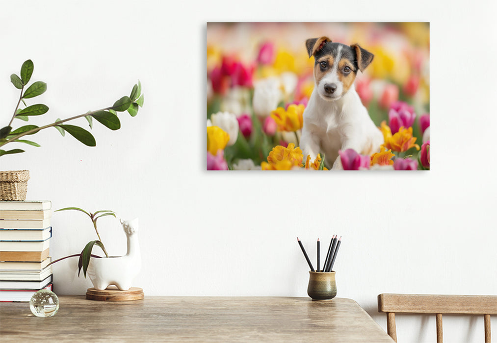 Premium Textil-Leinwand Ein Motiv aus dem Kalender Jack Russell Terrier