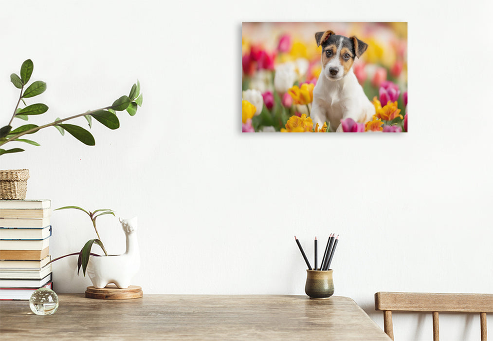 Premium Textil-Leinwand Ein Motiv aus dem Kalender Jack Russell Terrier