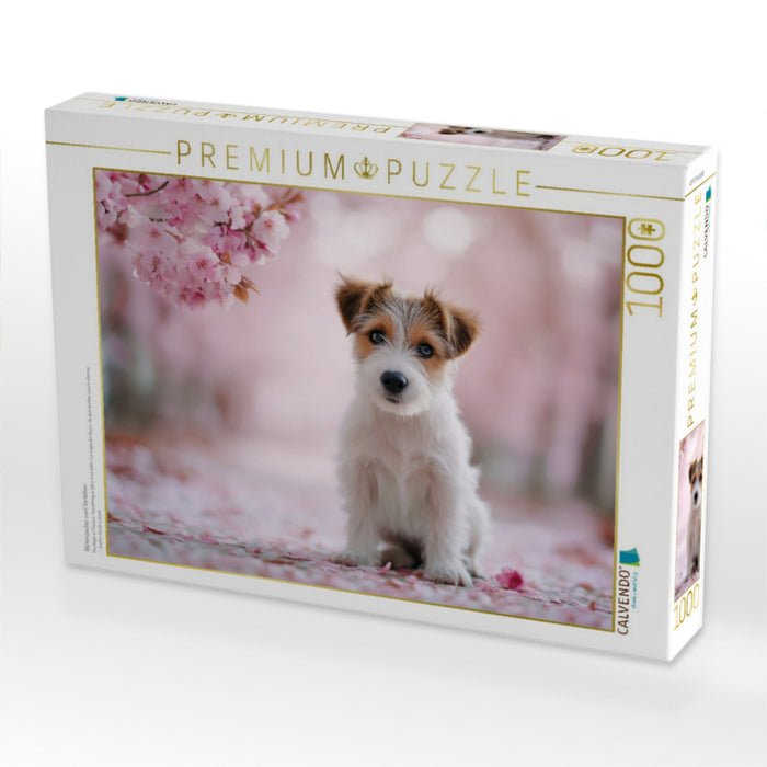 Blütenzauber zum Verlieben - CALVENDO Foto-Puzzle'