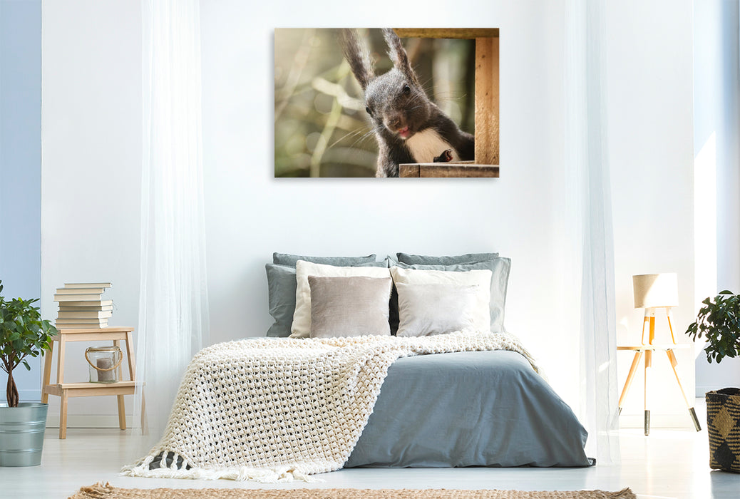 Premium Textil-Leinwand Ein freundliches Eichhörnchen