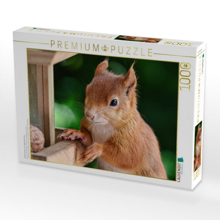Eichhörnchen am Vogelfutterhaus - CALVENDO Foto-Puzzle'