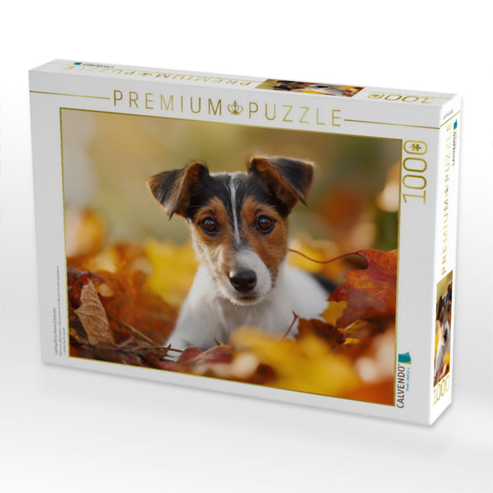 Laubspaß für kleine Entdecker - CALVENDO Foto-Puzzle'