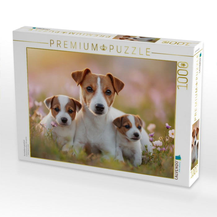 Kuschelalarm garantiert - CALVENDO Foto-Puzzle'