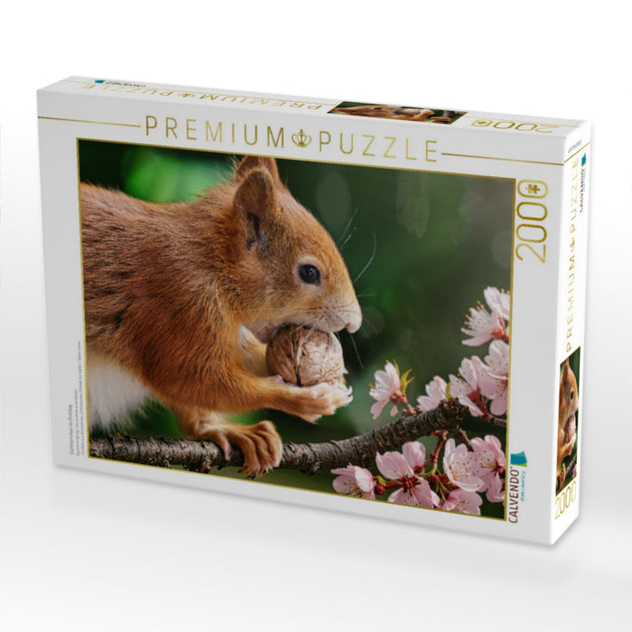 Eichhörnchen im Frühling - CALVENDO Foto-Puzzle'