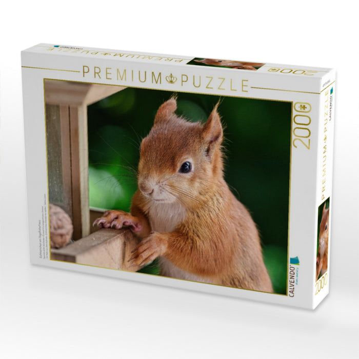 Eichhörnchen am Vogelfutterhaus - CALVENDO Foto-Puzzle'