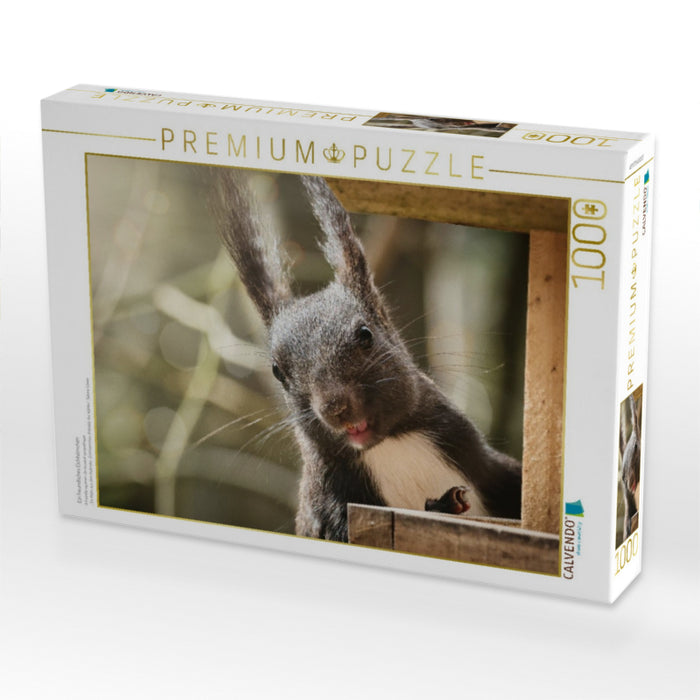 Ein freundliches Eichhörnchen - CALVENDO Foto-Puzzle'