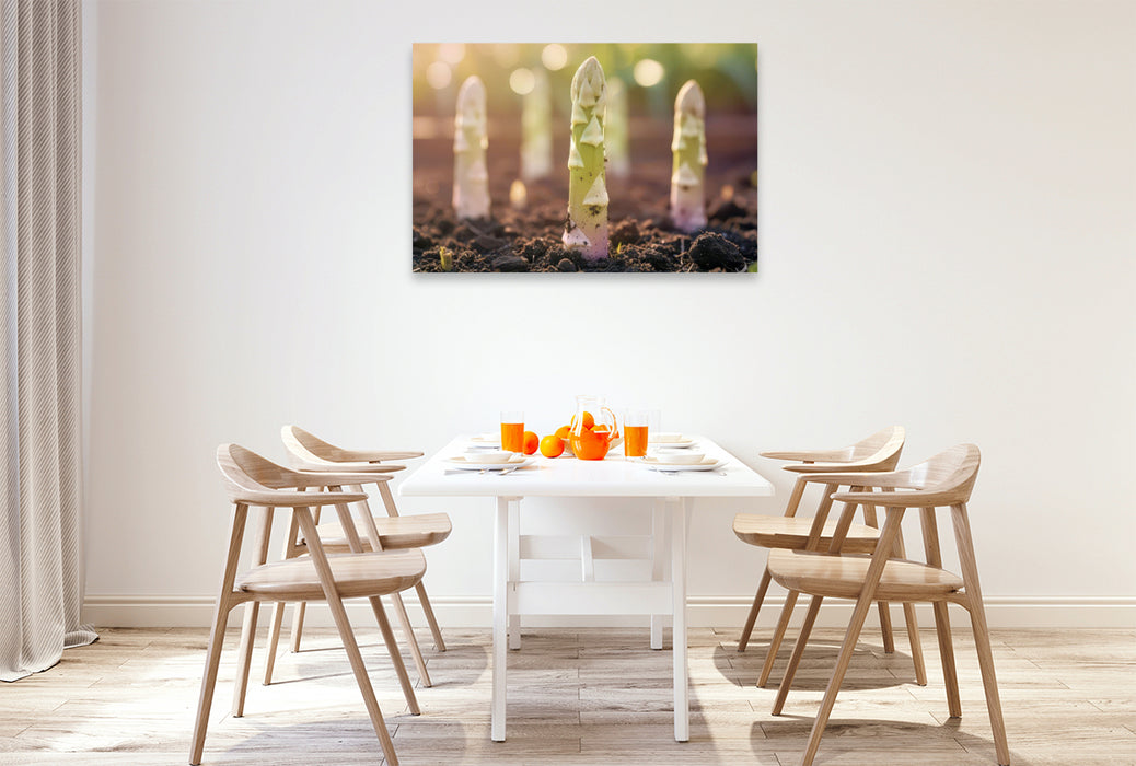 Premium Textil-Leinwand Weißer Spargel – gönn dir Frühling!