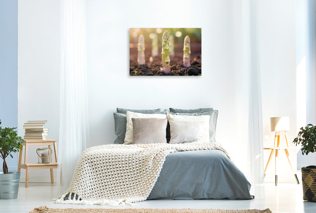 Premium Textil-Leinwand Weißer Spargel – gönn dir Frühling!