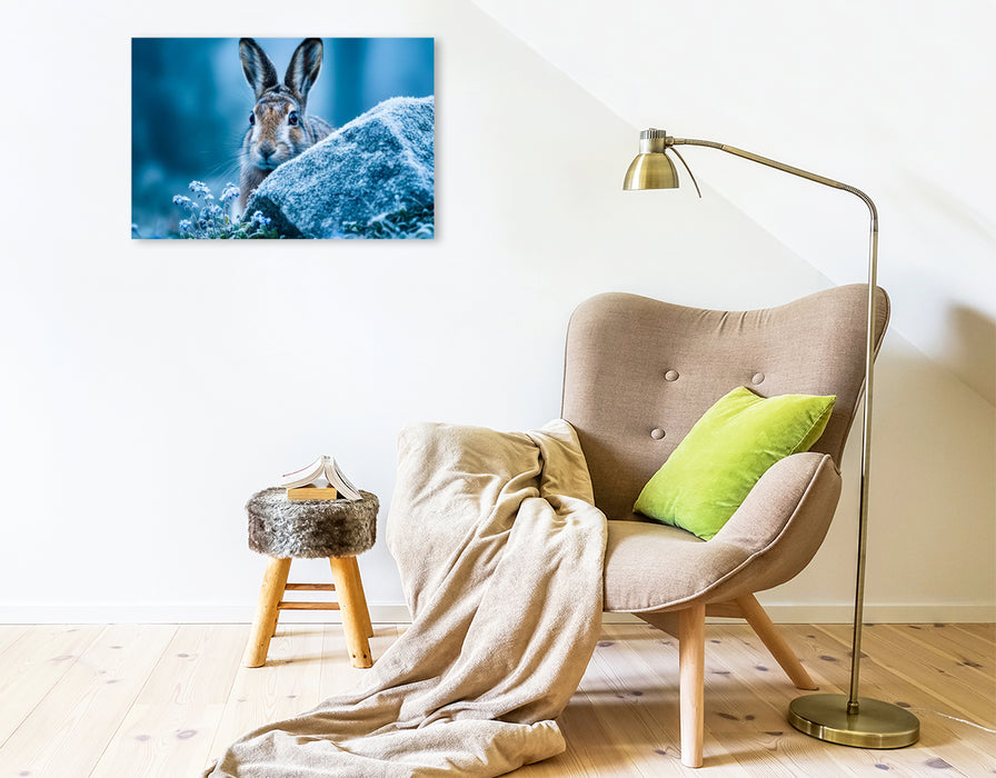 Premium Textil-Leinwand Der wachsame Feldhase