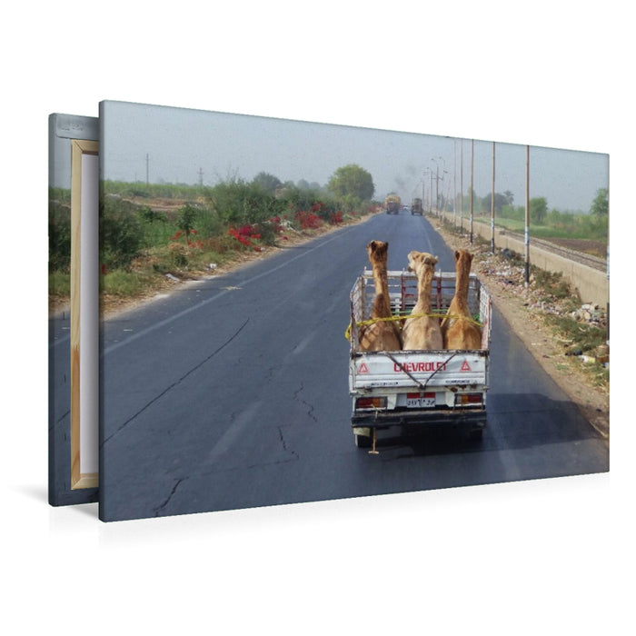 Premium Textil-Leinwand Ein Motiv aus dem Kalender Ägypten - Leben am Nil