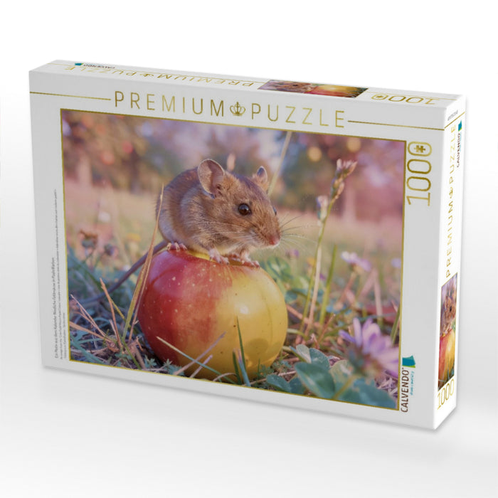 Ein Motiv aus dem Kalender Niedliche Feldmäuse in Pastellfarben - CALVENDO Foto-Puzzle'