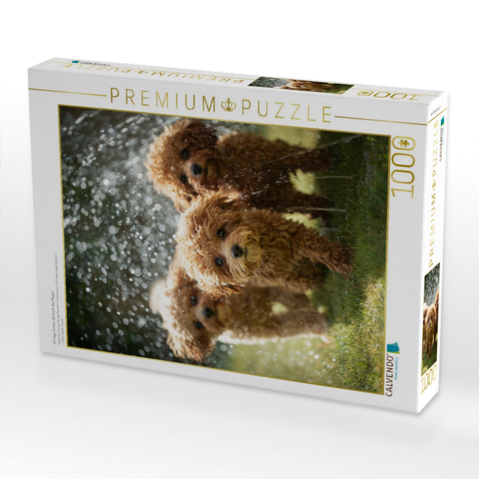Ich sage immer, ab durch den Regen - CALVENDO Foto-Puzzle'