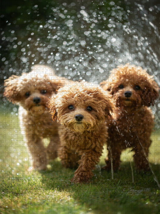 Ich sage immer, ab durch den Regen - CALVENDO Foto-Puzzle'