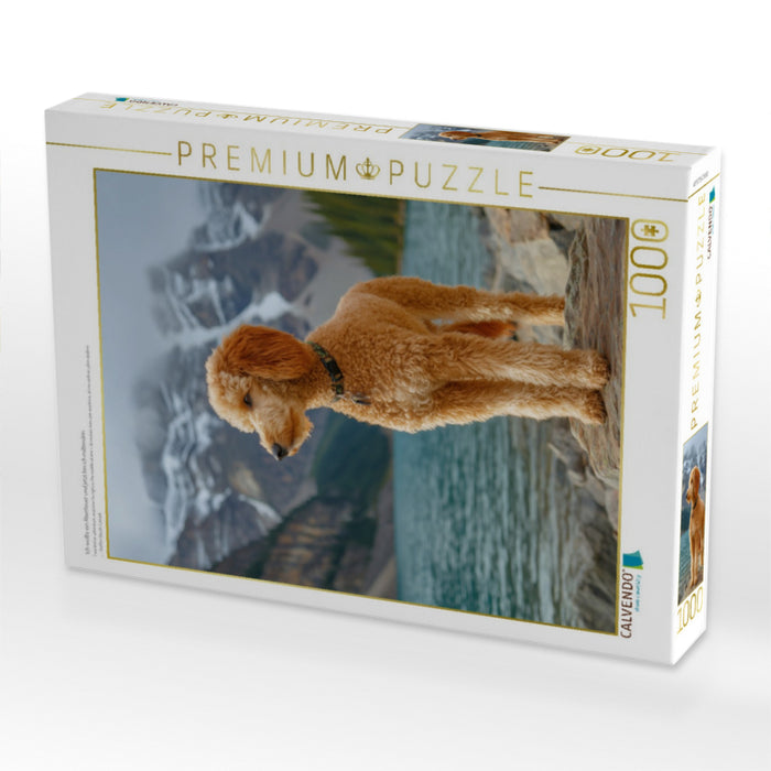 Ich wollte ein Abenteuer und jetzt bin ich mittendrin - CALVENDO Foto-Puzzle'