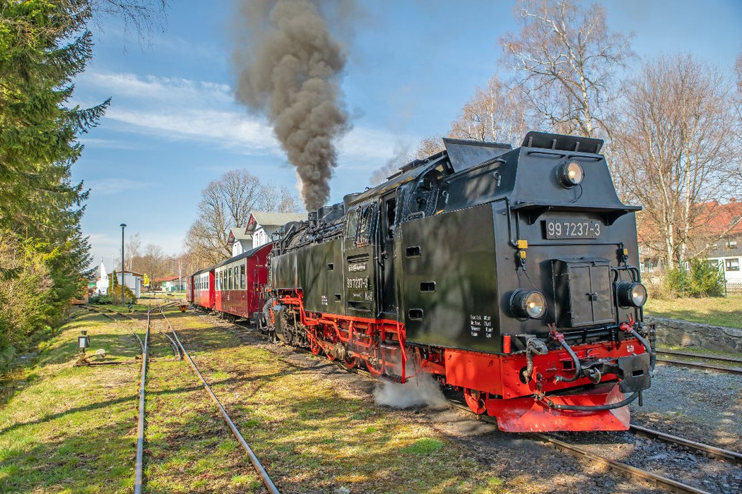 Premium Textil-Leinwand Ausfahrt der Selketalbahn aus Hasselfelde