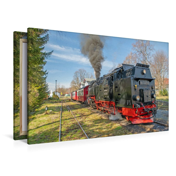 Premium Textil-Leinwand Ausfahrt der Selketalbahn aus Hasselfelde