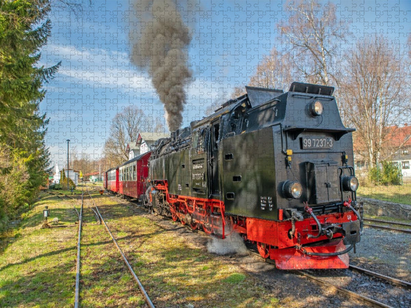 Ausfahrt der Selketalbahn aus Hasselfelde - CALVENDO Foto-Puzzle'