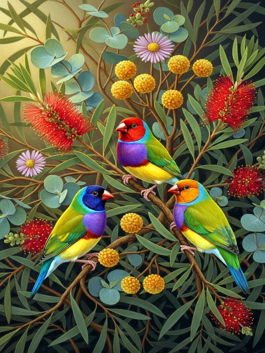 Gouldamadine zwischen bunten Blüten - CALVENDO Foto-Puzzle'