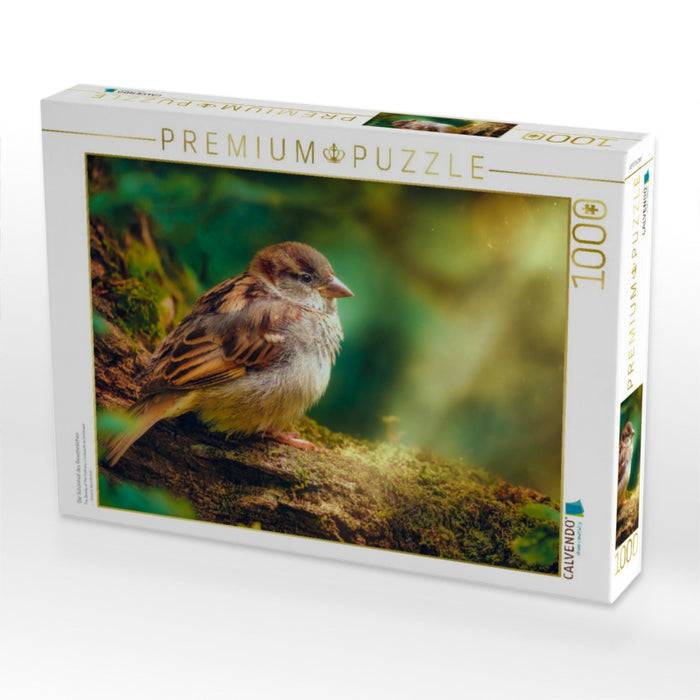 Die Schönheit des Gewöhnlichen - CALVENDO Foto-Puzzle'