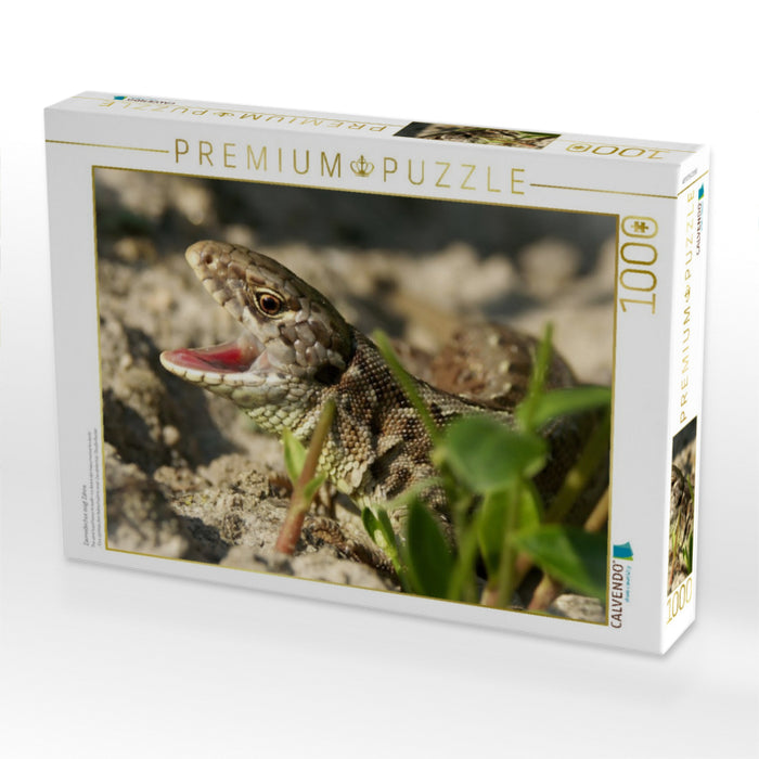 Zauneidechse zeigt Zähne - CALVENDO Foto-Puzzle'