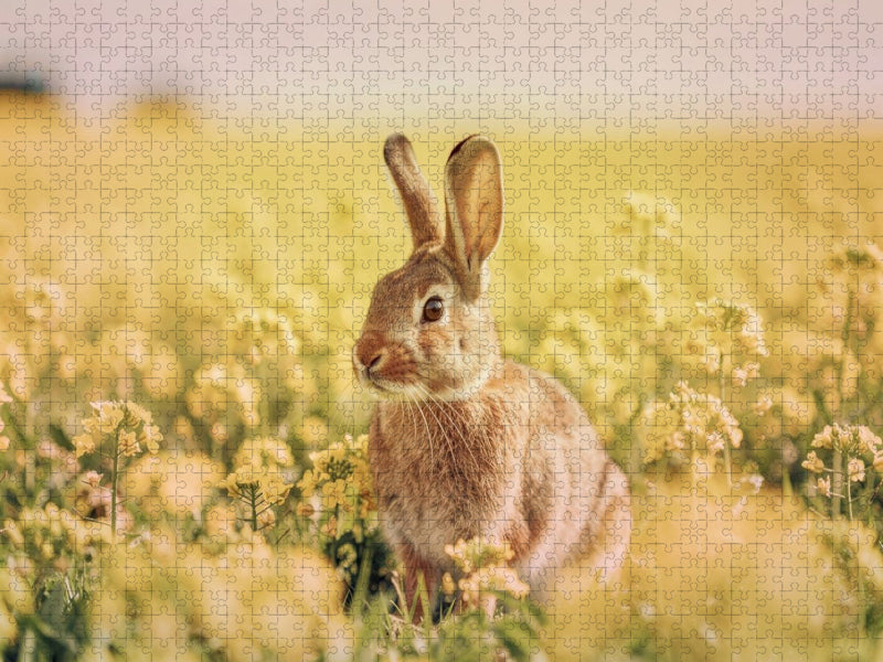 Ein Hauch von Frühling, ein Sprung voller Leichtigkeit. - CALVENDO Foto-Puzzle'